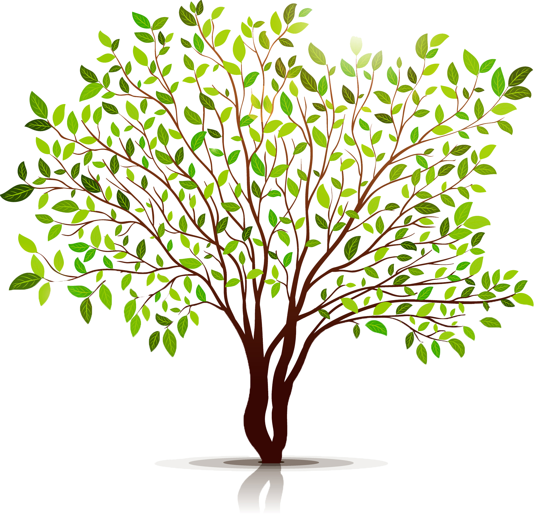 Professional bookkeeping illustration